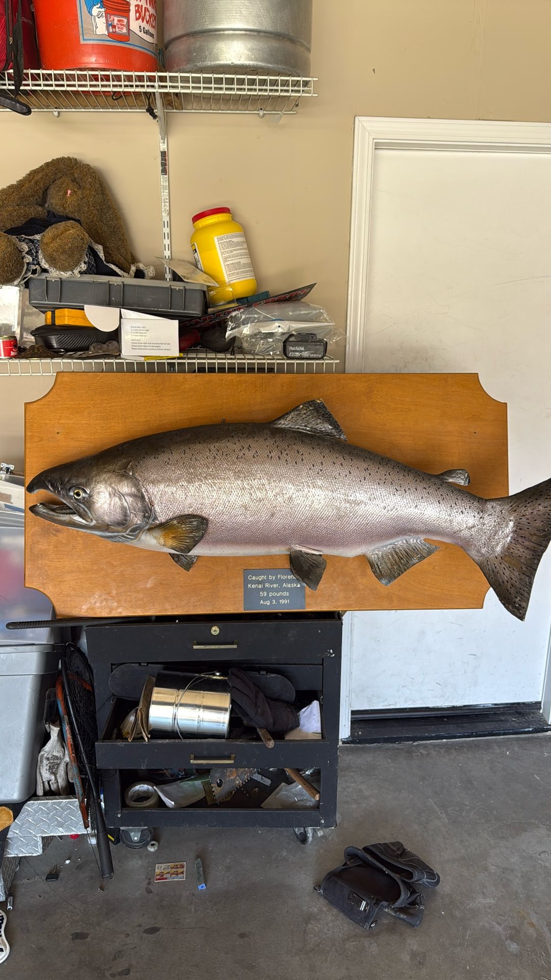 Mounted Salmon