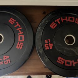 Pair Of 45# Barbell Weights