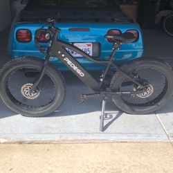 Pedego E Bike
