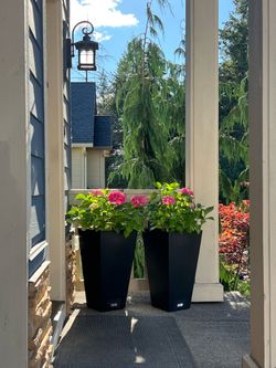 Beautiful Pink hydrangea in brand new 24’’ VERADEK planters