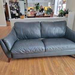 Free Leather Couch
