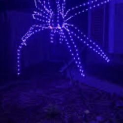 5.5 Ft Halloween LED Spider Silhouette 