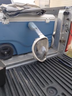 Snorkel Mask