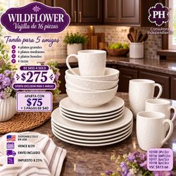 Vajilla Wildflower Princess House 