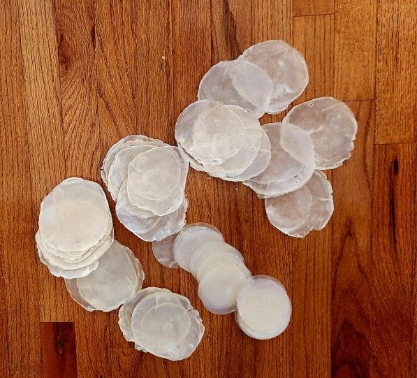 50 Mother of Pearl Shells