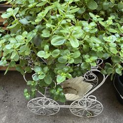 Jade