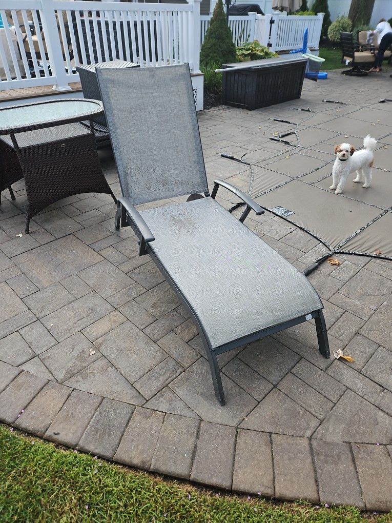 Pool Loungers
