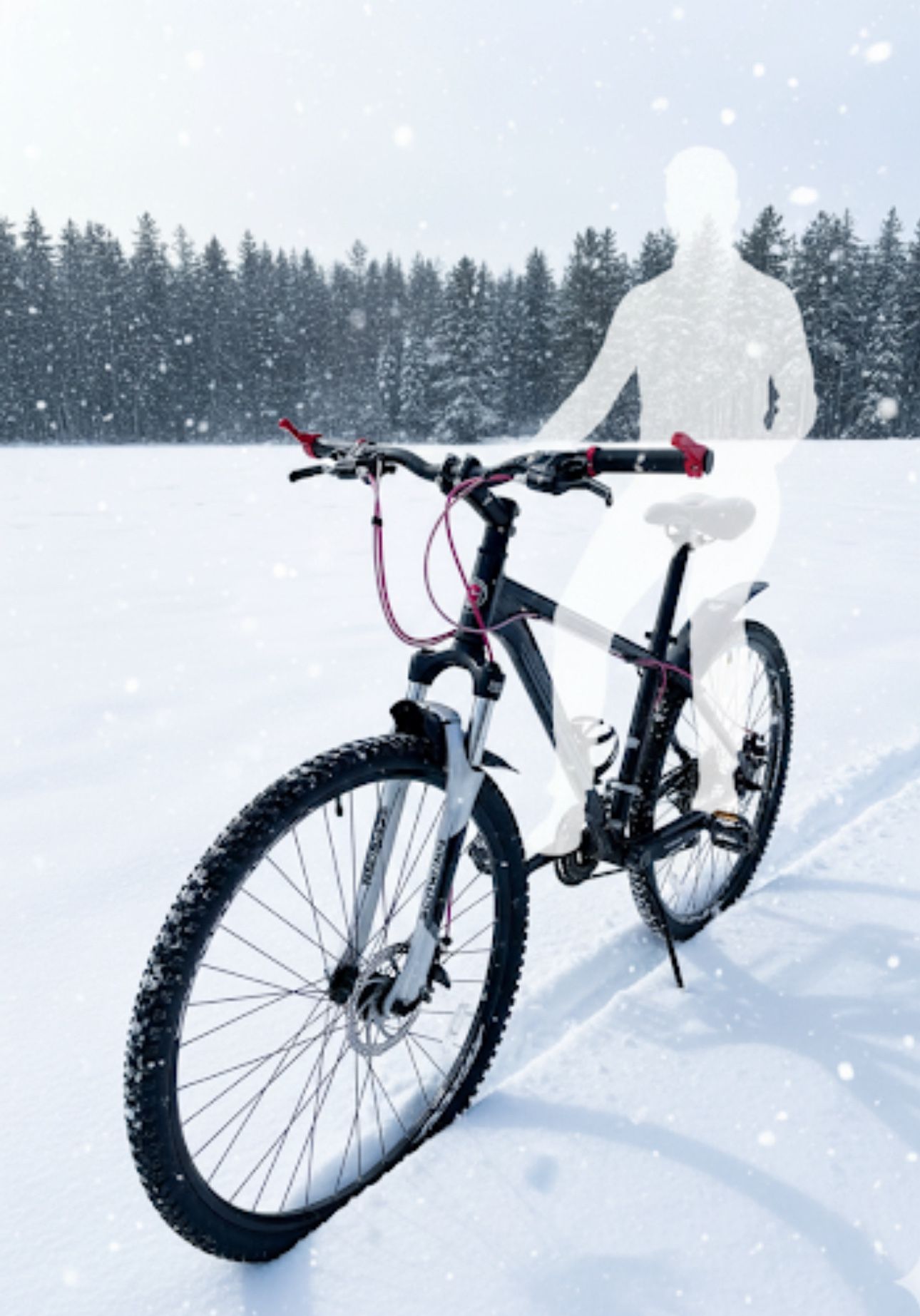 Mountain bike Schwinn Ascension 29er.