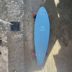 Penny Long Board