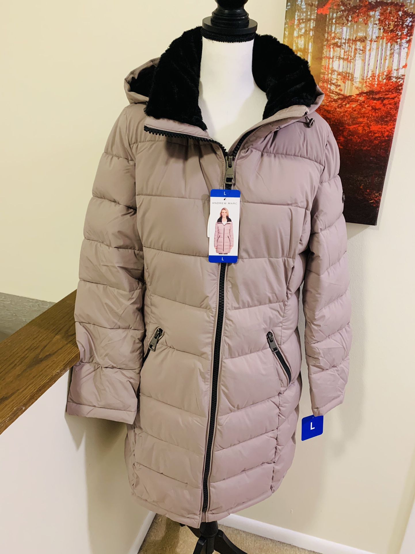 Women Winter Coat Size Large Brand New