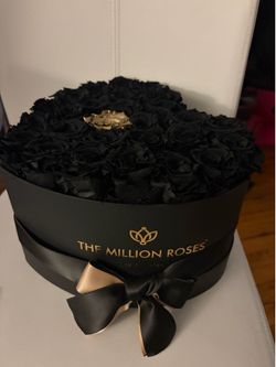 Real black roses gift