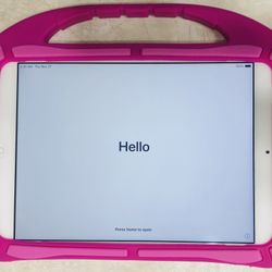 iPad in Excellent Condition- Includes Pink Case!