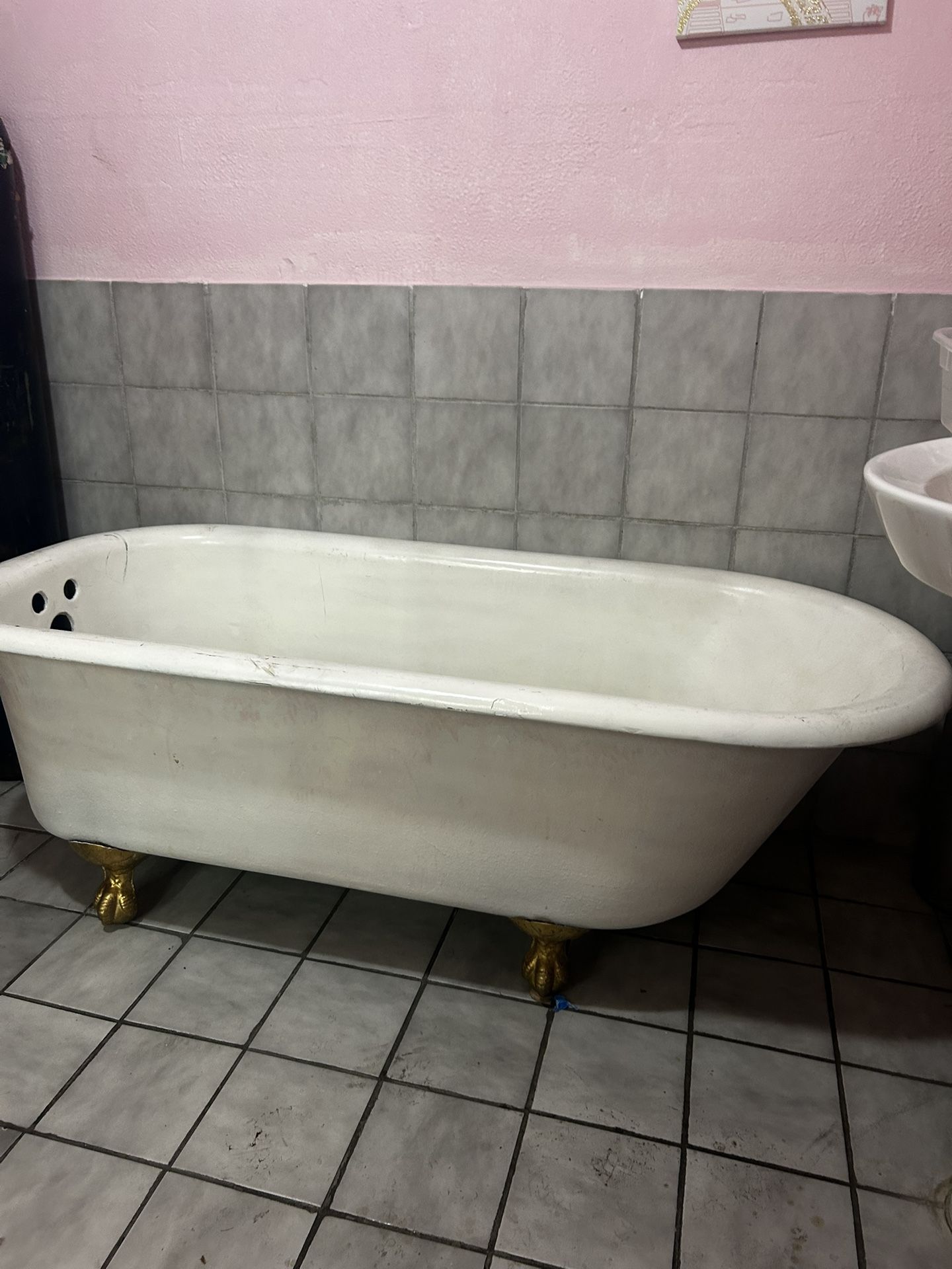 FREE Bathtub – Great for Photo Shoots or Projects!