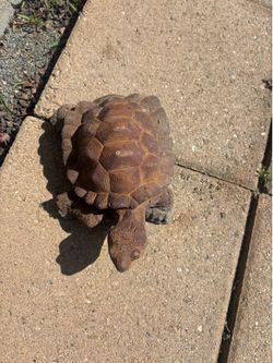 Turtle decoration for garden