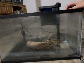 10 galon fish tank
