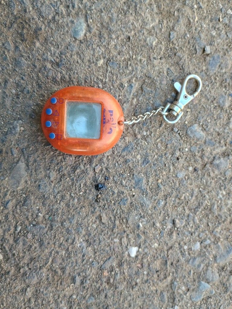 Orange Nano Pet Vintage