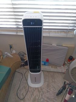Air cooler