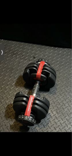 Dumbbells ( Bowflex)