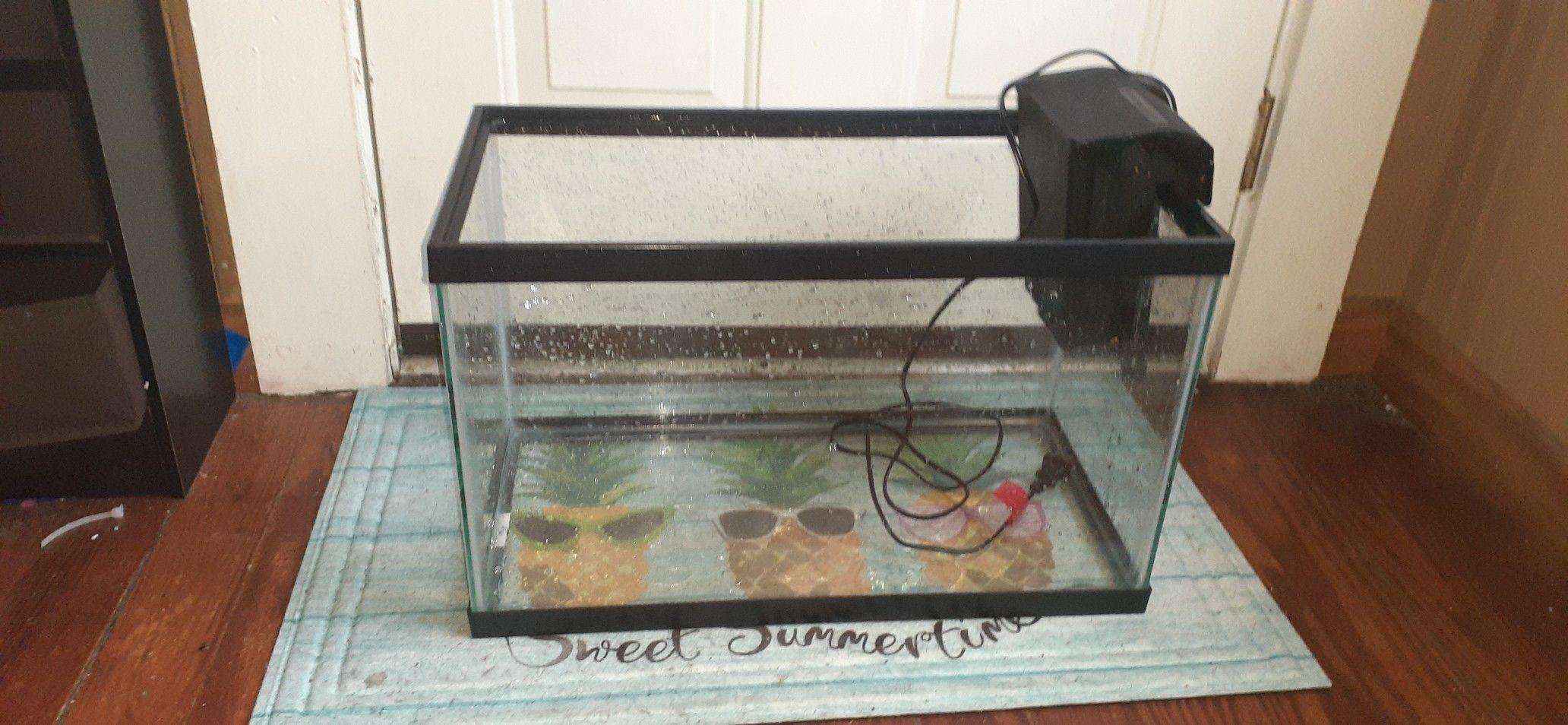 10 gallon tank