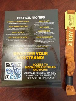 Day Trip Festival 2 day pass