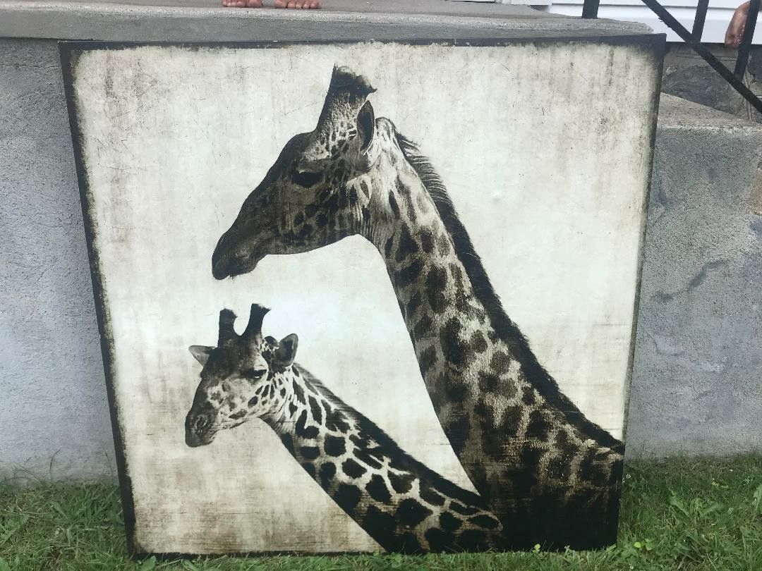 Giraffes Painting 4 by 4 feet