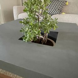 Modern Coffee Table With Plant Holder On Top 