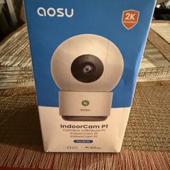 Indoor Camera