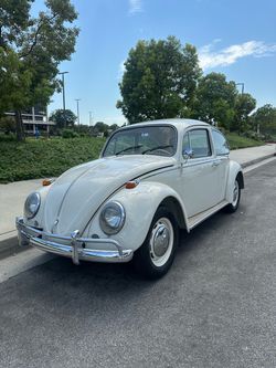 1966 Volkswagen Beetle