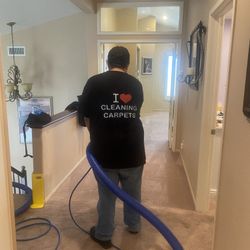 Carpet Cleaner 