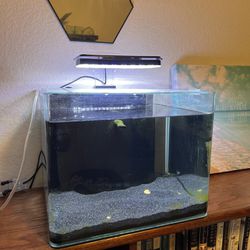 5 Gallon Cube Fish Tank for Sale in Poway, CA - OfferUp