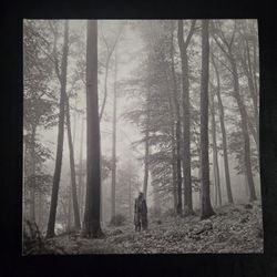 Taylor Swift Folklore 