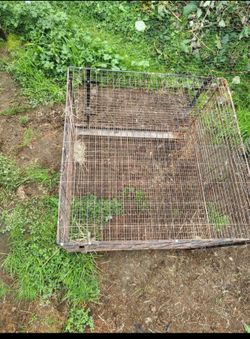 5 bunny cages