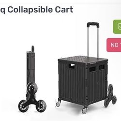 Collapsable Cart