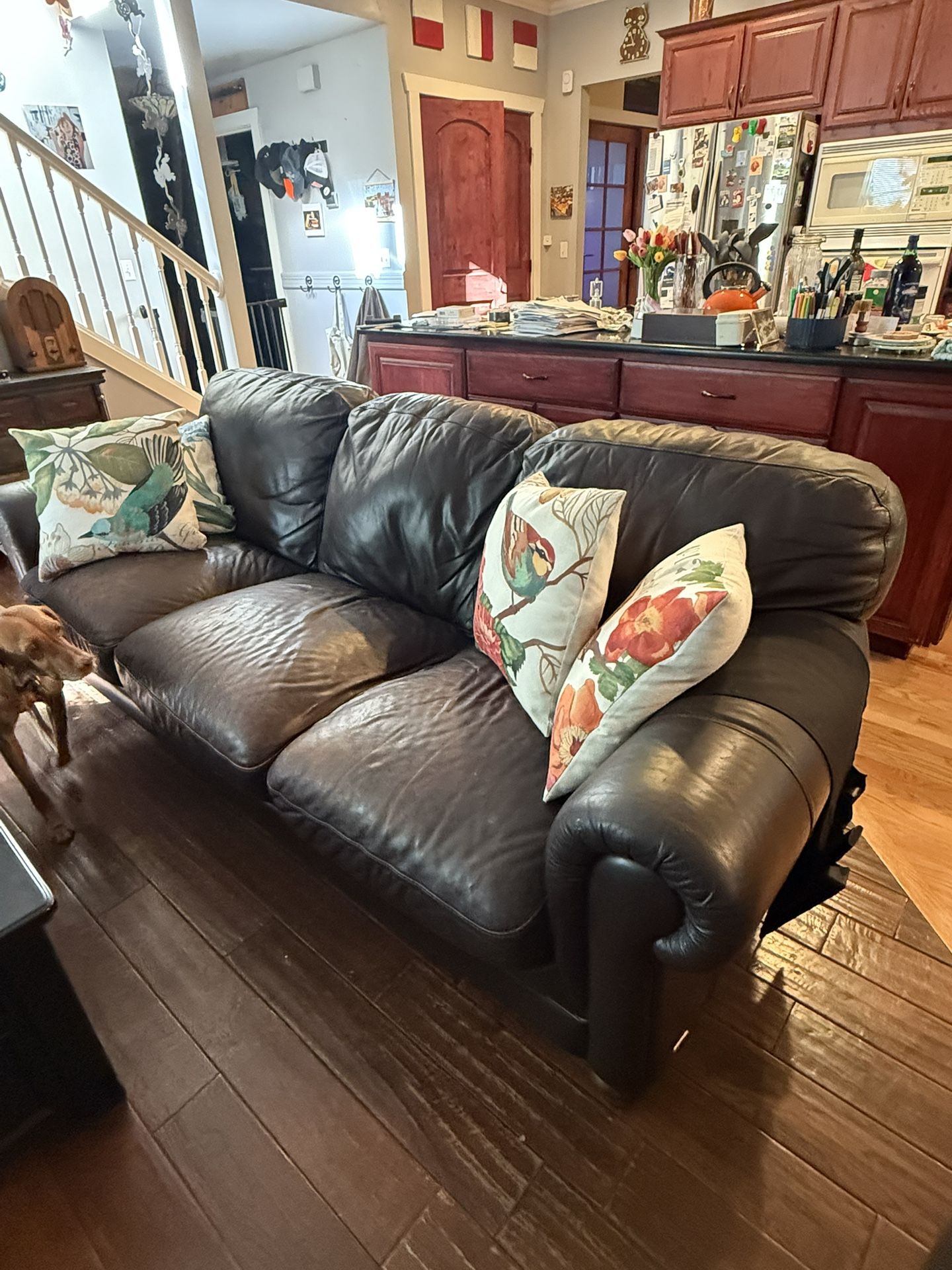 Leather Couch Dark Brown