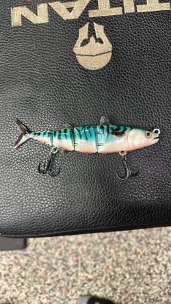 Custom Bass Bait
