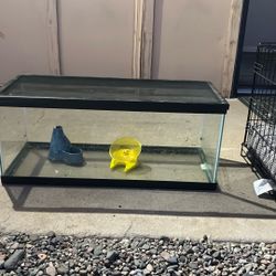 Fish Tank or Hamster Tank 