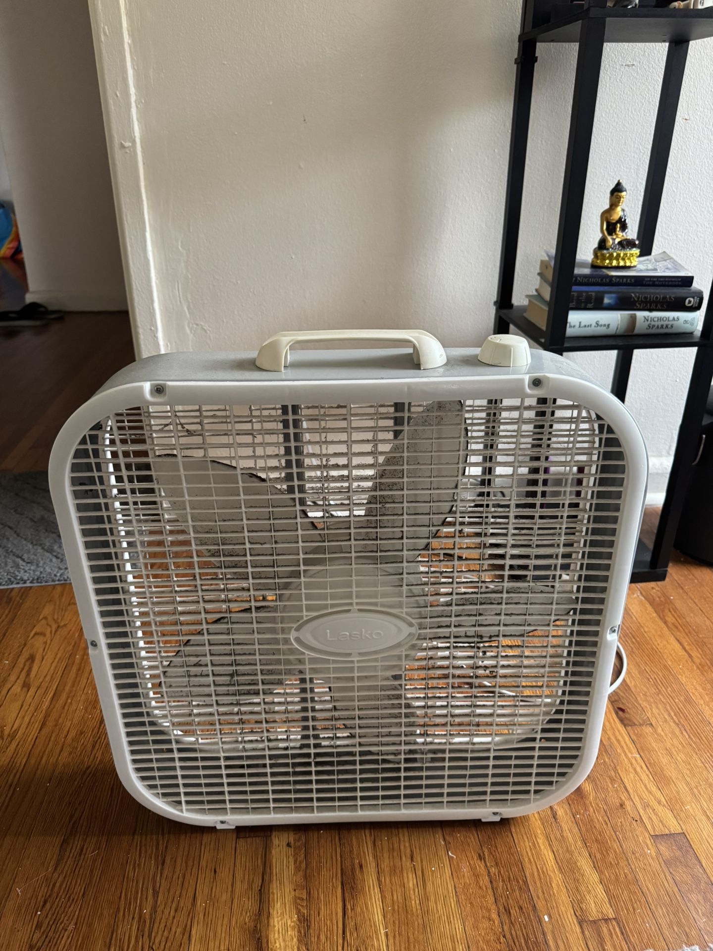 Fan