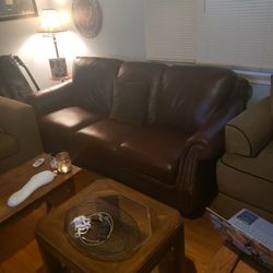 Dark Brown Leather Couch