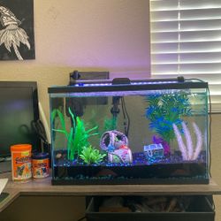 Fish Tank
