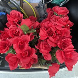 Red Flowers