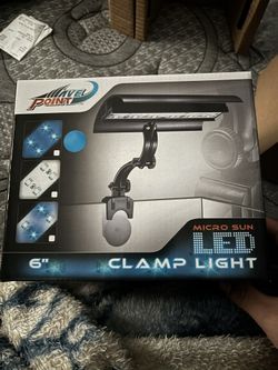 Aquarium Blue Light
