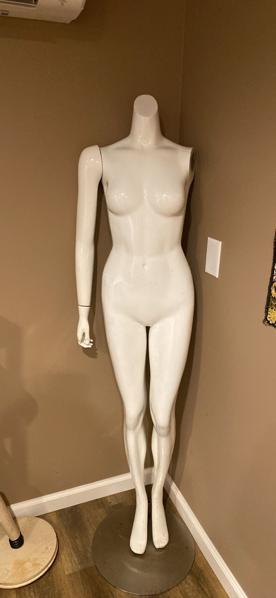 Tall Elegant Mannequin