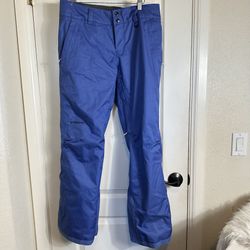 women’s Patagonia snow snowboard pants 