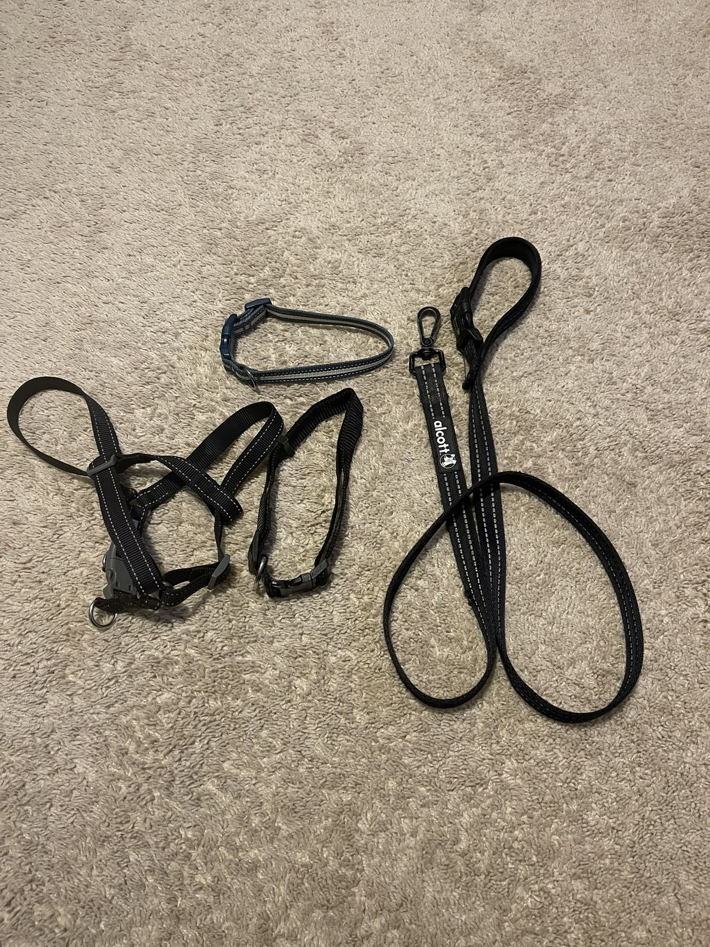 Dog Leashes & Harness