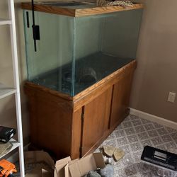 75 Gallon Aquarium