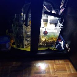 Aquarium Sump