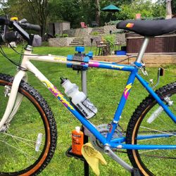 Beautiful Vintage 1989 SPECIALIZED RockHopper Comp Bike for Sale in Hyde Park NY OfferUp