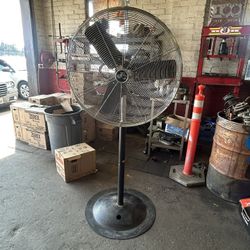 Big Shop Fan In Farmersville 