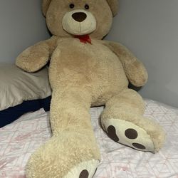 Teddy Bear