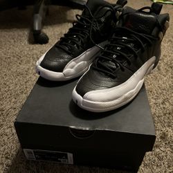 Jordan Retro 12